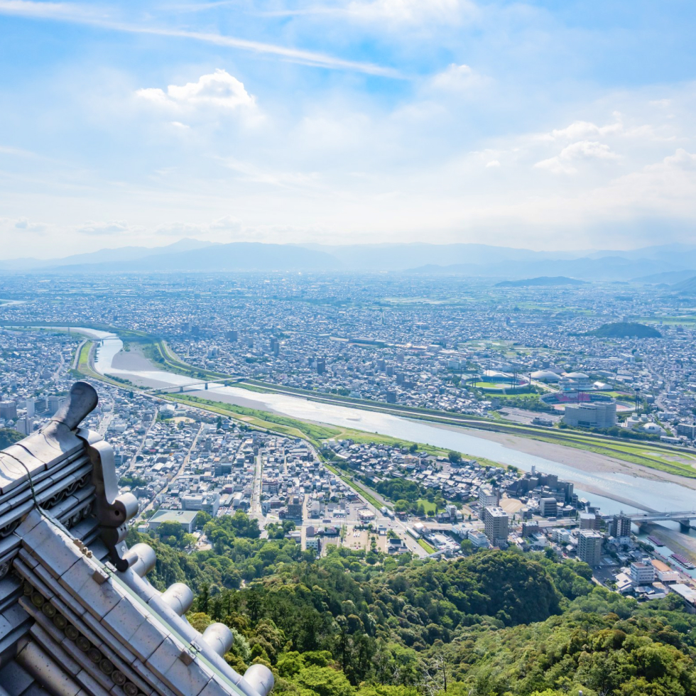 リープ・グッド事業